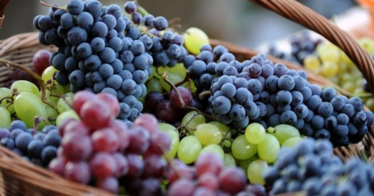 LAG  MORE 249 objavljuje šesti LAG natječaj 